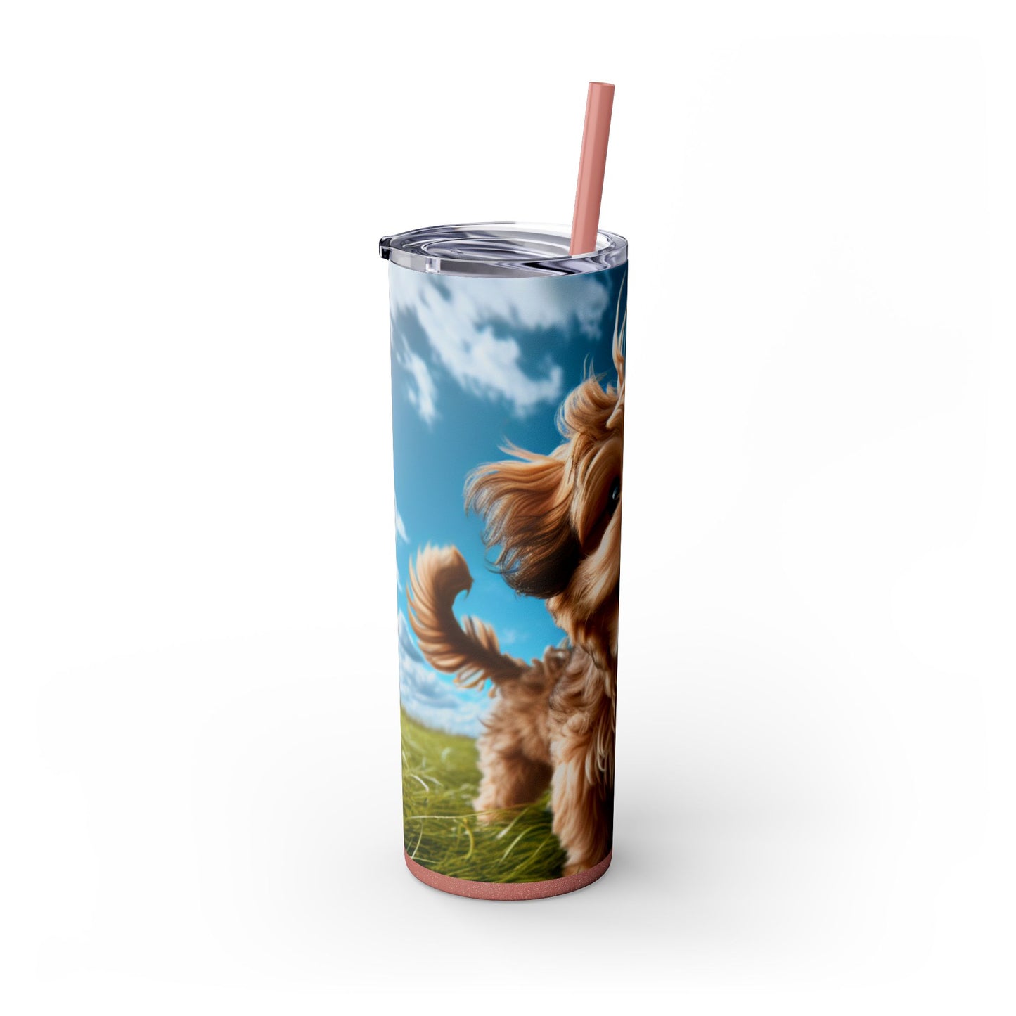 Kaikadi Tumbler with Straw, 20oz