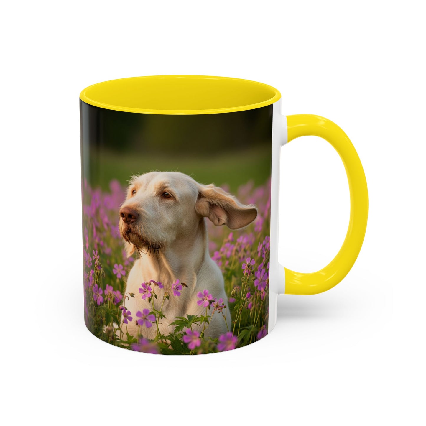 Spinone Italiano Accent Coffee Mug - Perfect Gift for Dog Lovers