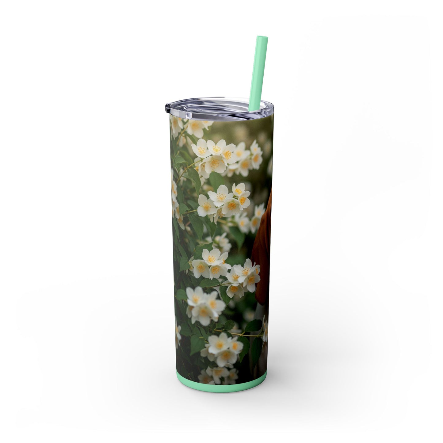 Bracco Italiano Tumbler with Straw, 20oz