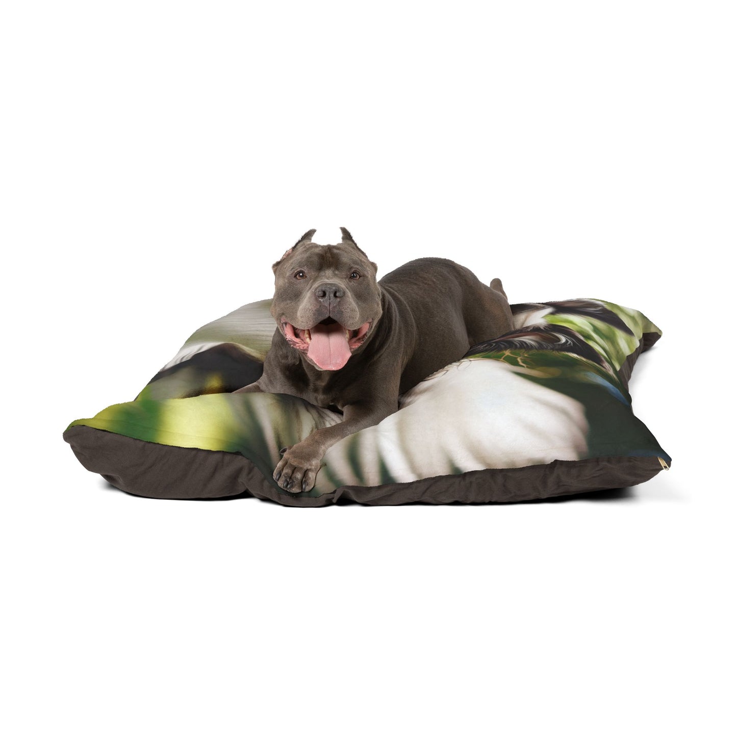 Border Collie Pet Bed
