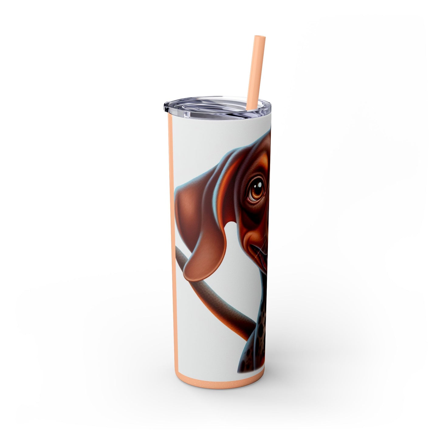 Braque du Bourbonnais Tumbler with Straw, 20oz