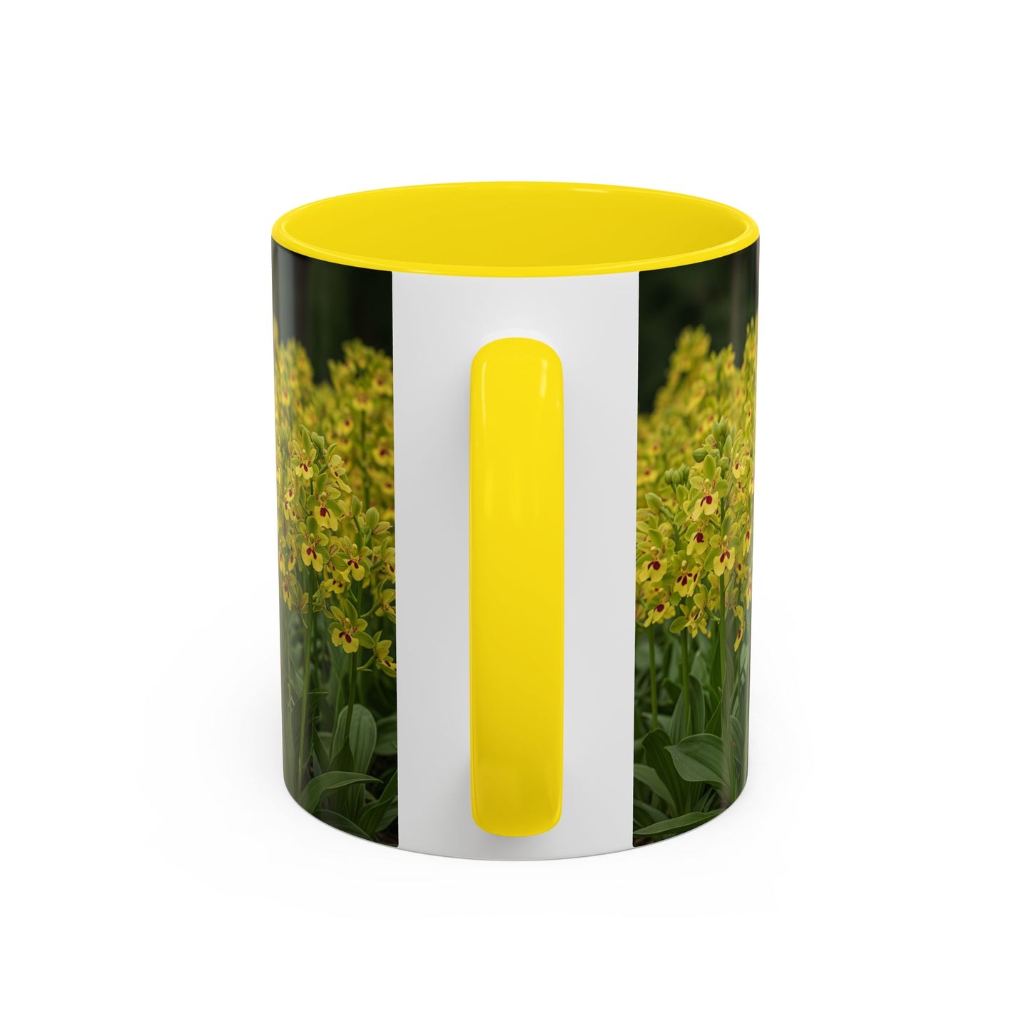 Basenji Accent Coffee Mug - Perfect Gift for Dog Lovers