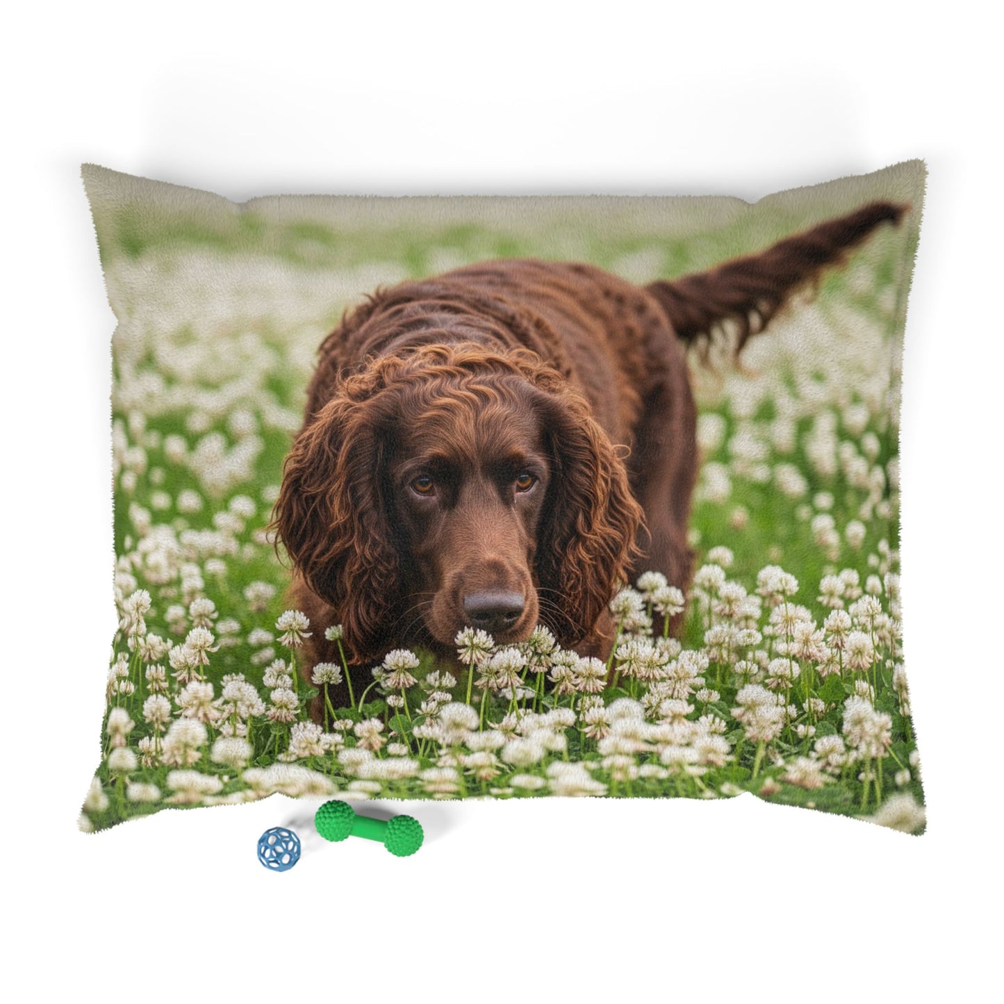 Irish Water Spaniel Pet Bed