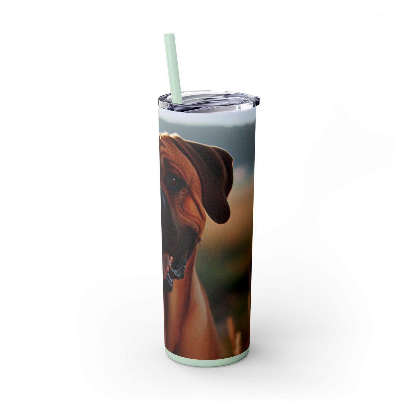Broholmer Tumbler with Straw, 20oz