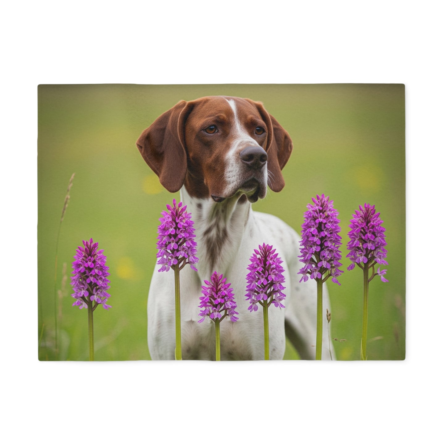 Pointer Sweatshirt Blanket
