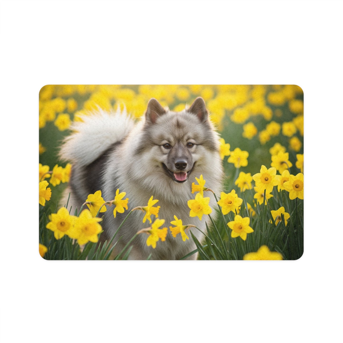 Pet Food Mat (12x18) - Keeshond