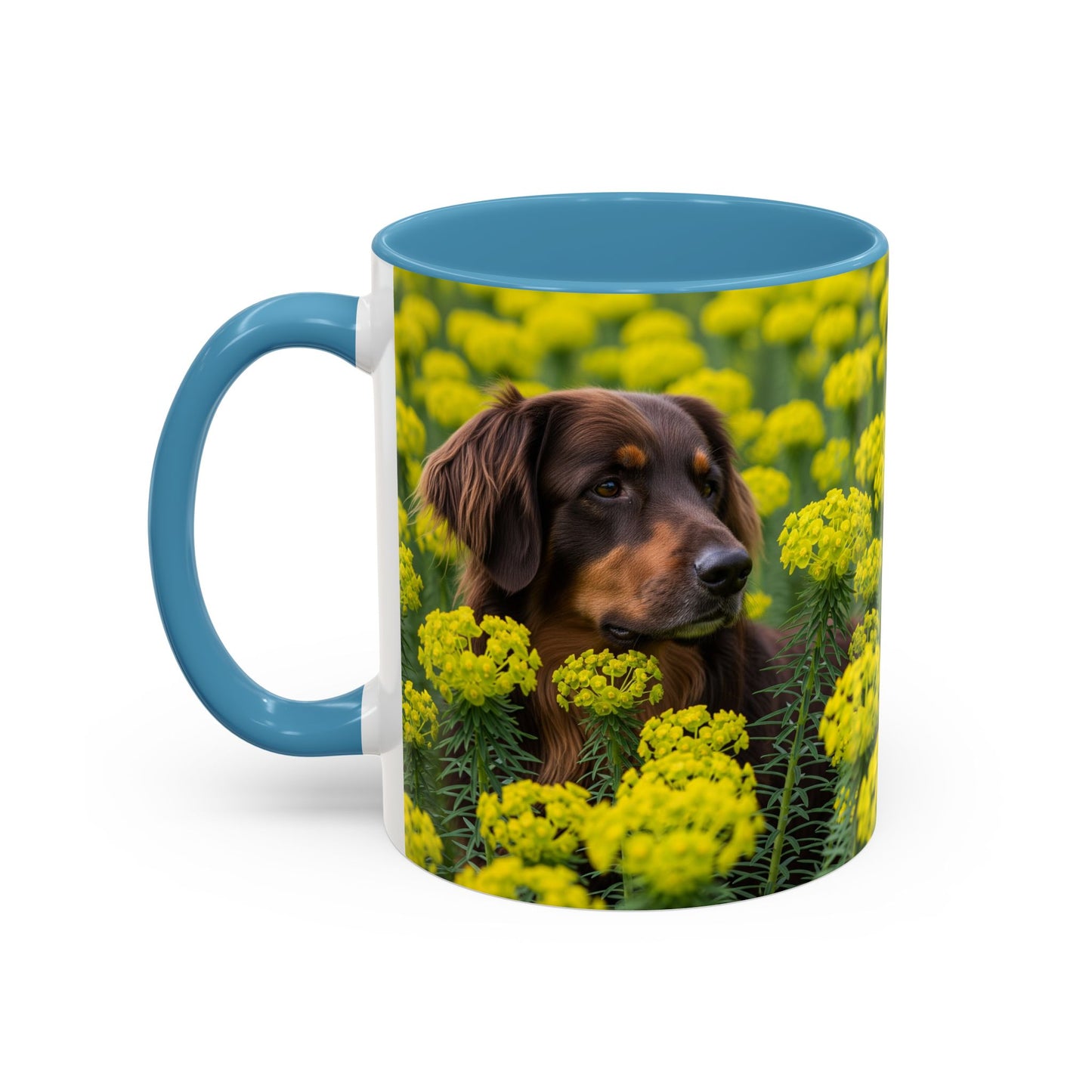 Hovawart Accent Coffee Mug - Perfect Gift for Dog Lovers