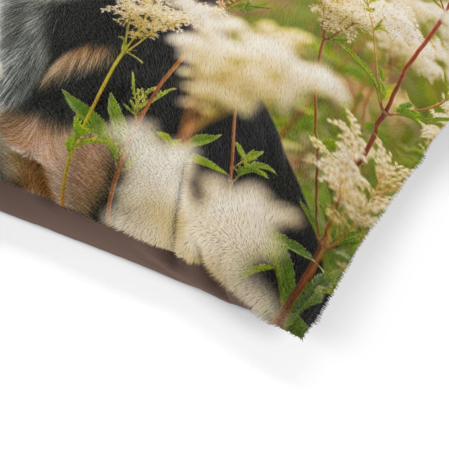 Lancashire Heeler Pet Bed