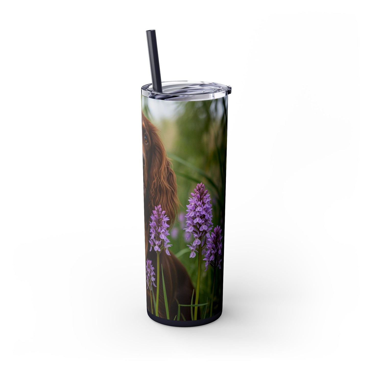 Pont-Audemer Spaniel Tumbler with Straw, 20oz