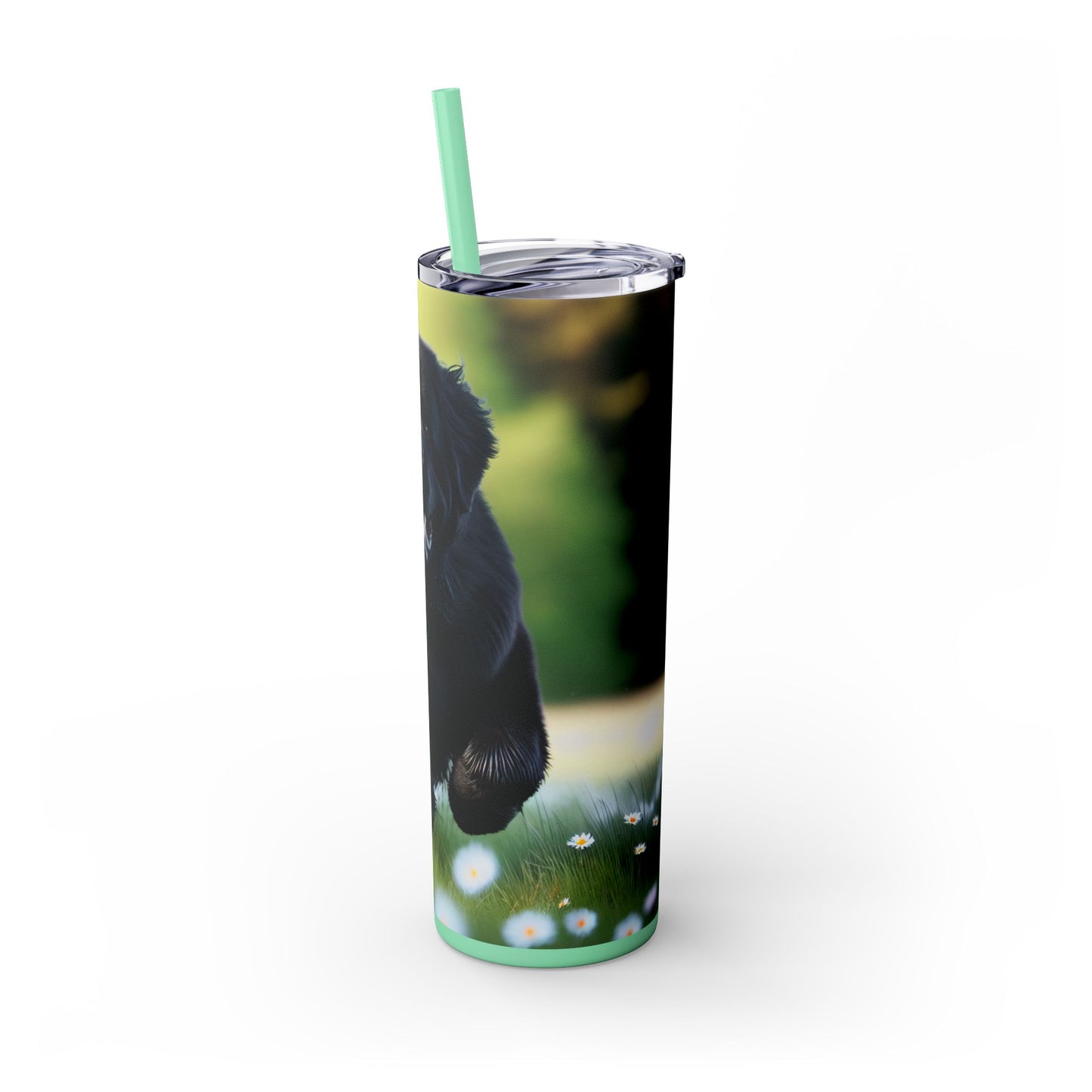Newfoundland Skinny Tumbler with Straw, 20oz