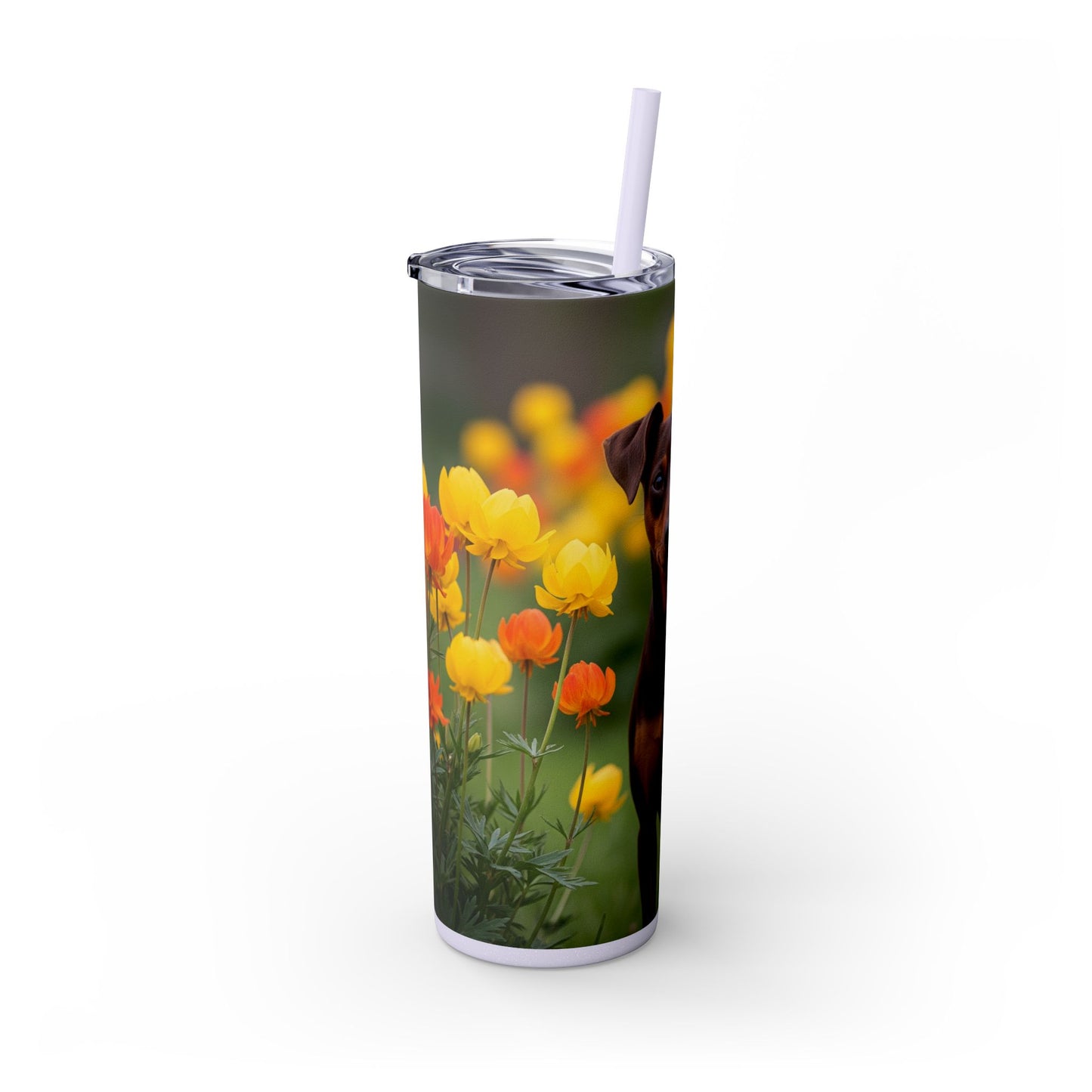 Miniature Pinscher Skinny Tumbler with Straw, 20oz