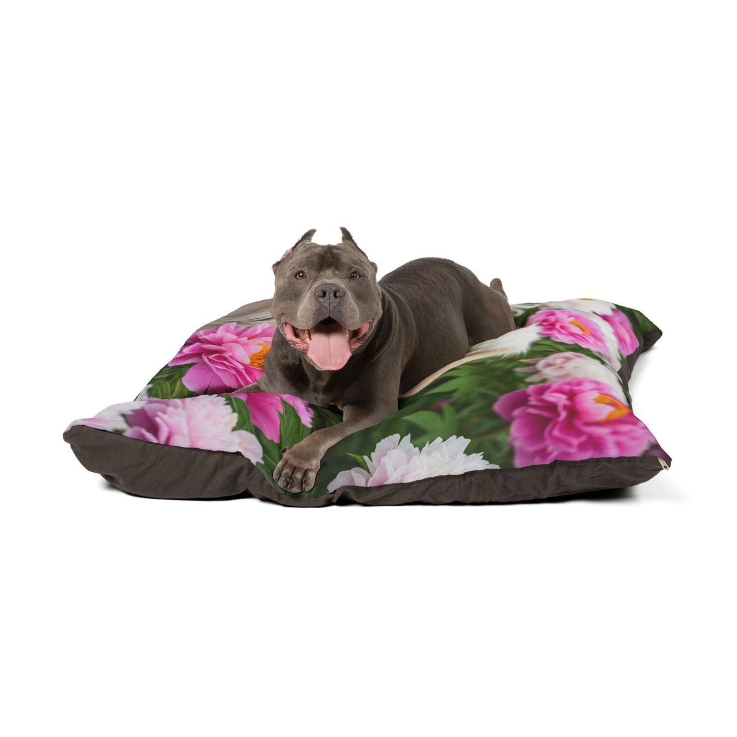 Tibetan Spaniel Pet Bed
