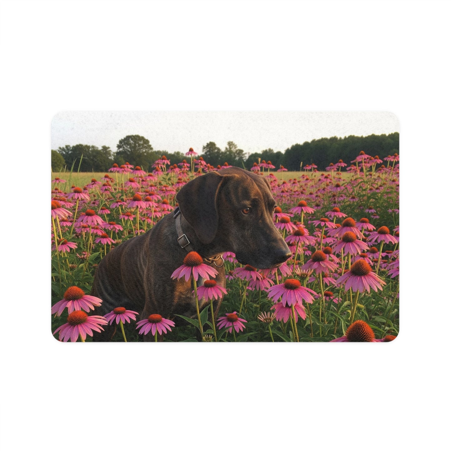Pet Food Mat (12x18) - Treeing Tennessee Brindle