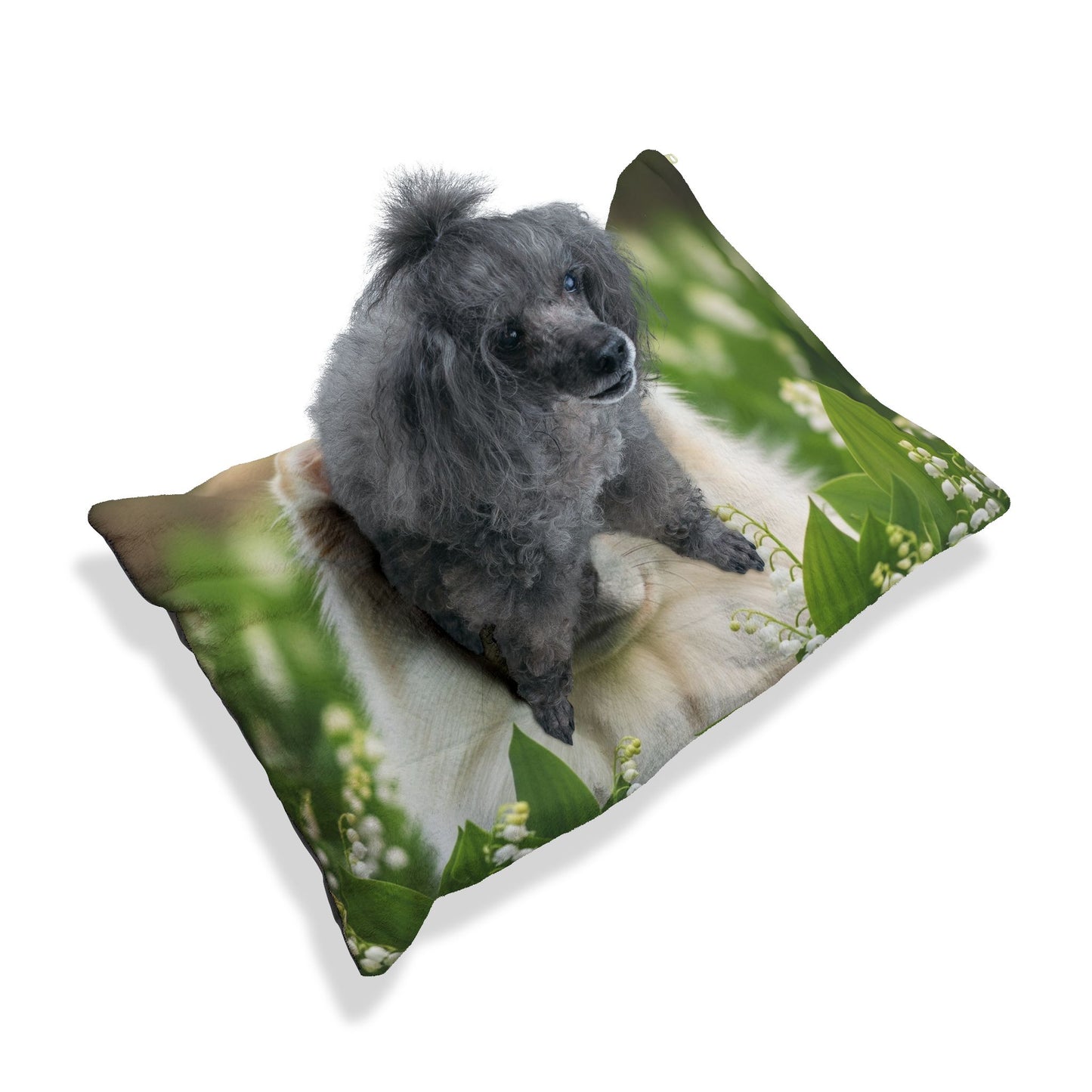 Finnish Lapphund Pet Bed