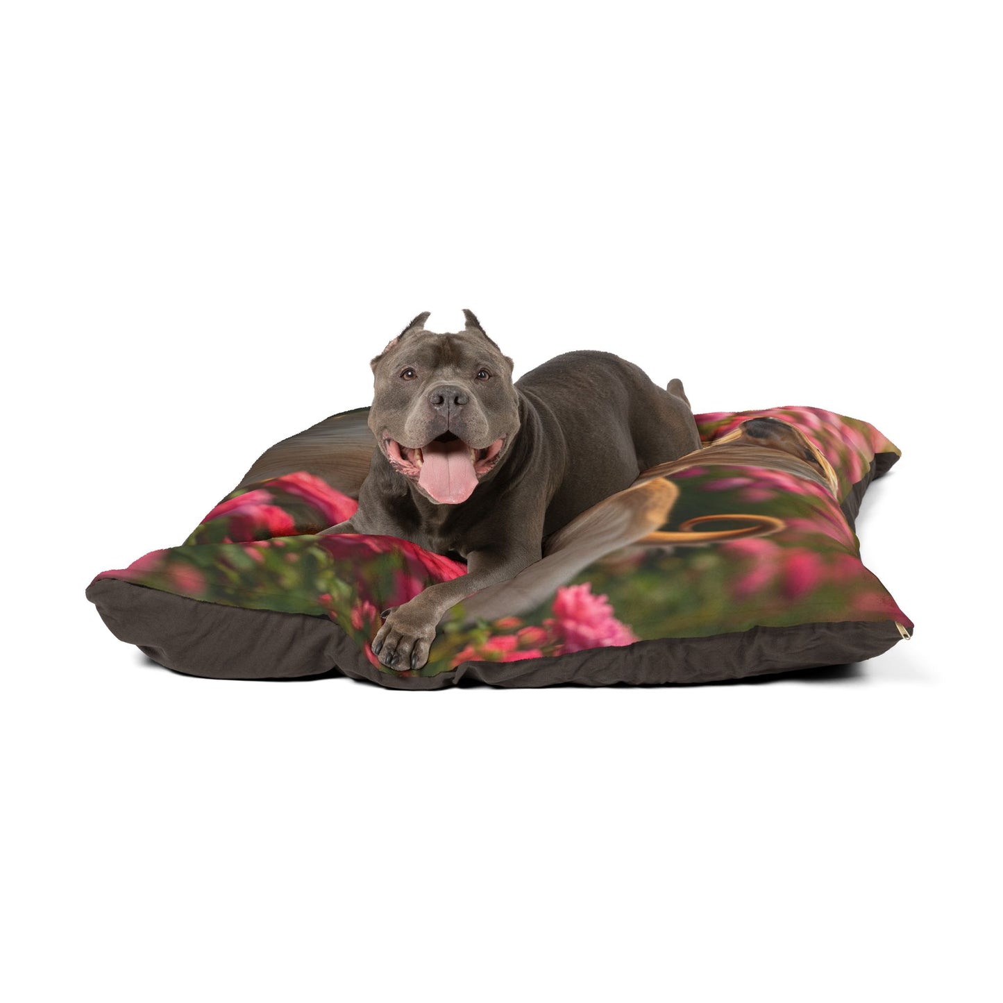 Afghan Hound Pet Bed