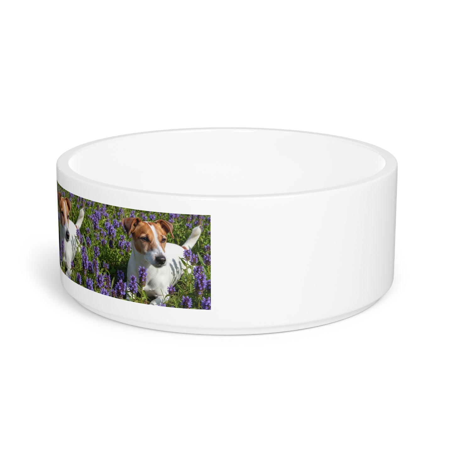Jack Russell Terrier Pet Bowl