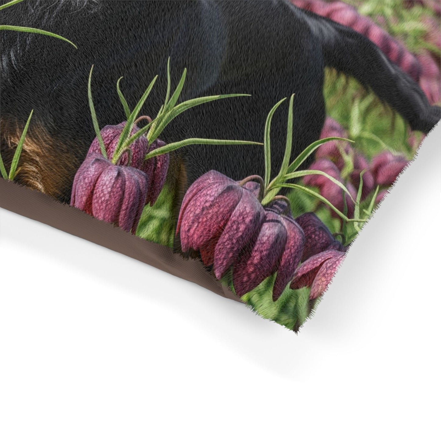 Wetterhoun Pet Bed