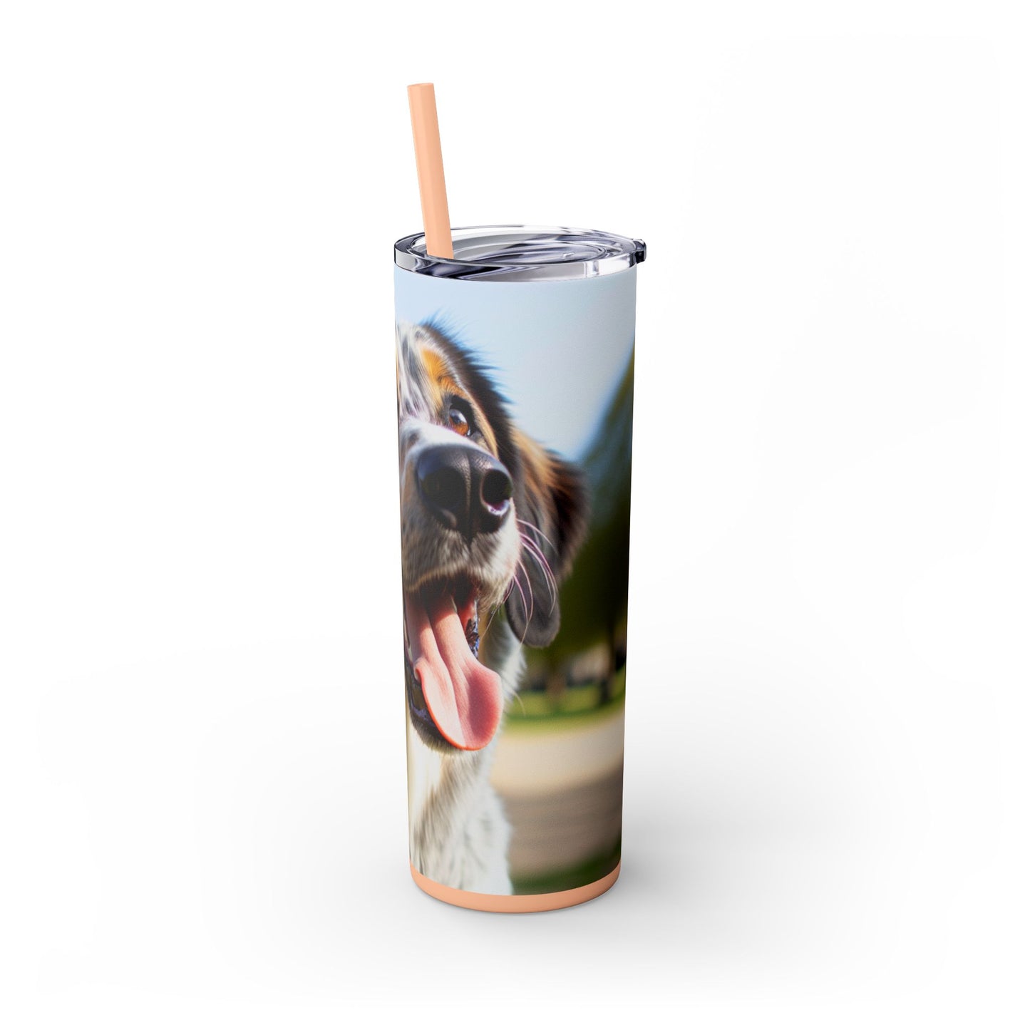 Braque Francais Pyrenean Tumbler with Straw, 20oz