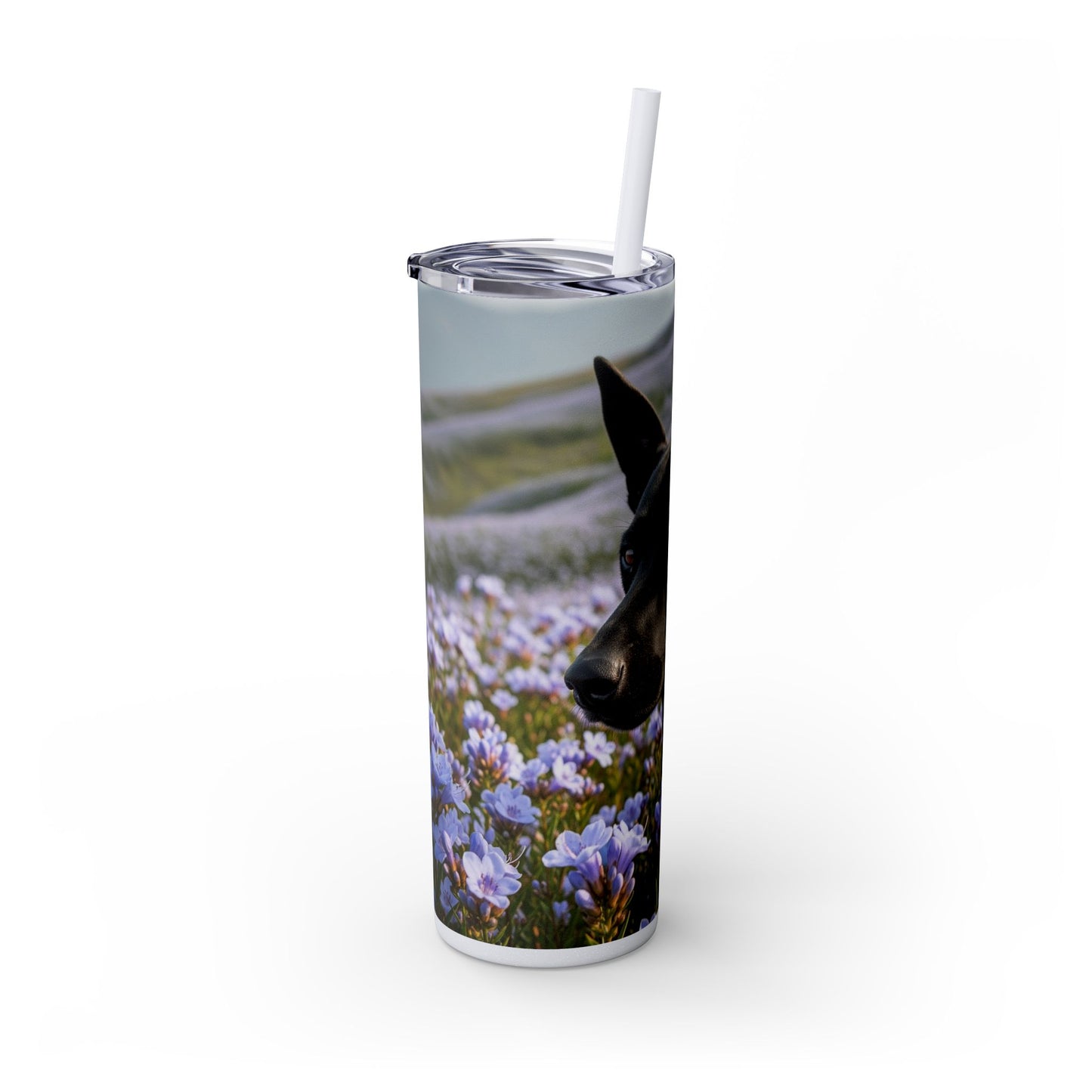 Kanni Tumbler with Straw, 20oz