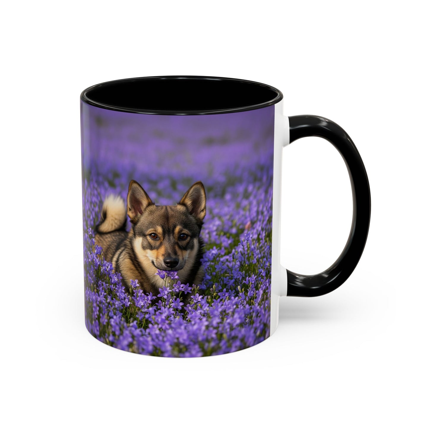 Swedish Vallhund Accent Coffee Mug - Perfect Gift for Dog Lovers