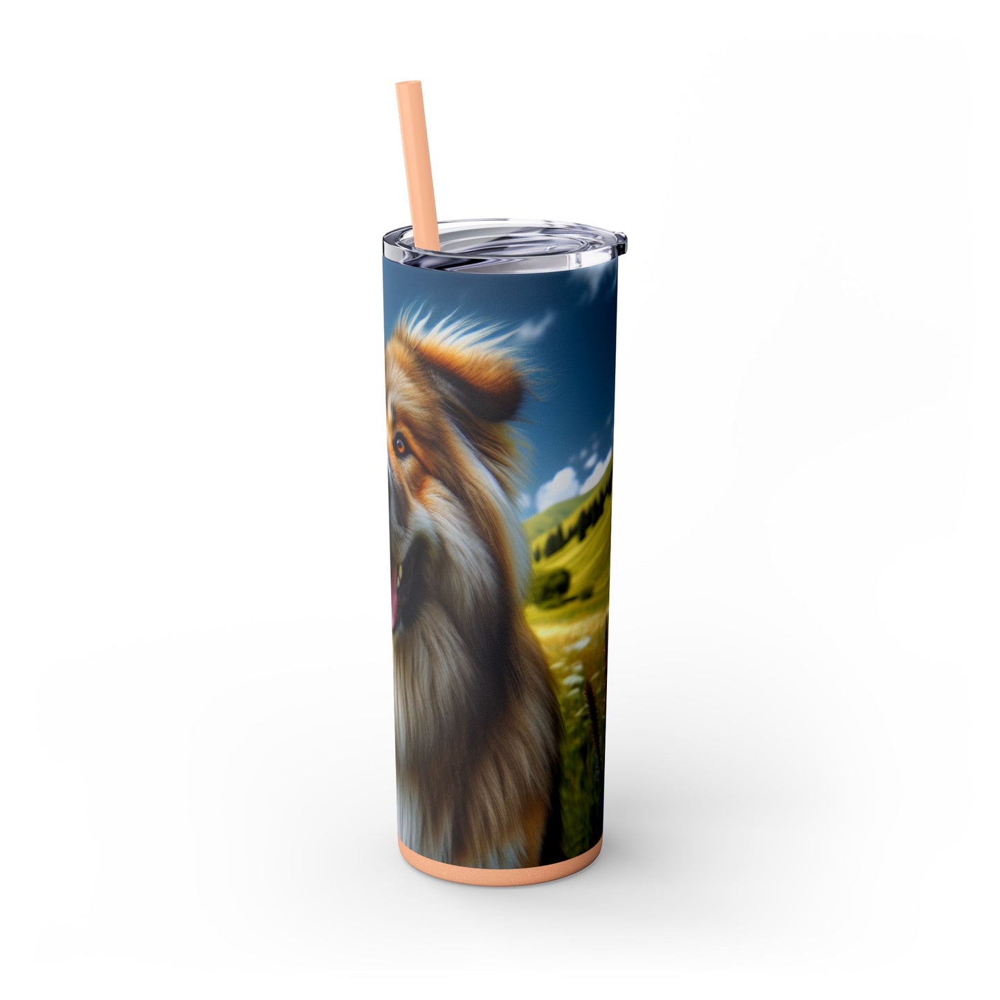 Bakharwal Tumbler with Straw, 20oz