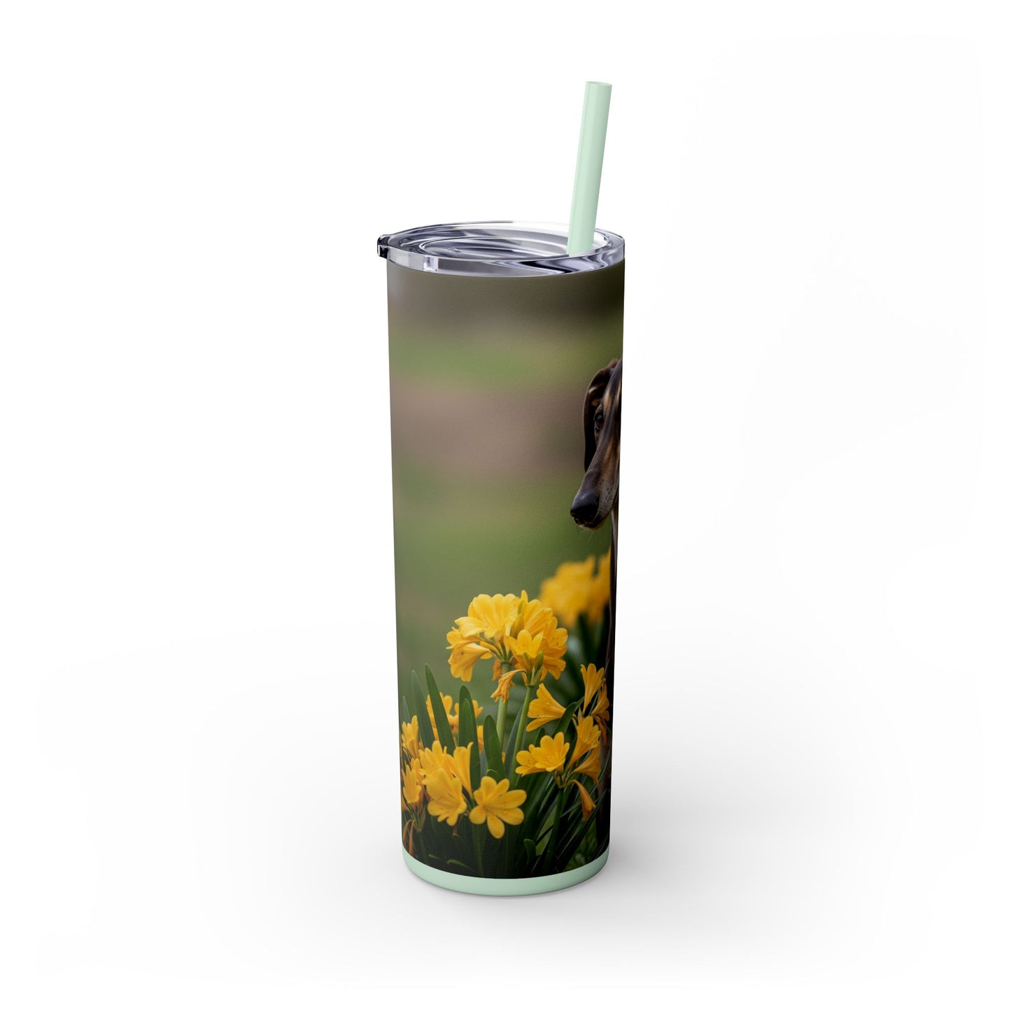 Sloughi Skinny Tumbler with Straw, 20oz