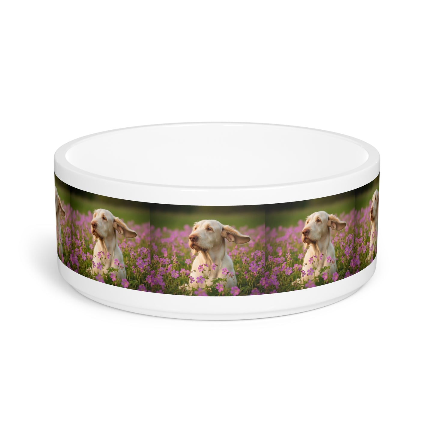 Spinone Italiano Pet Bowl