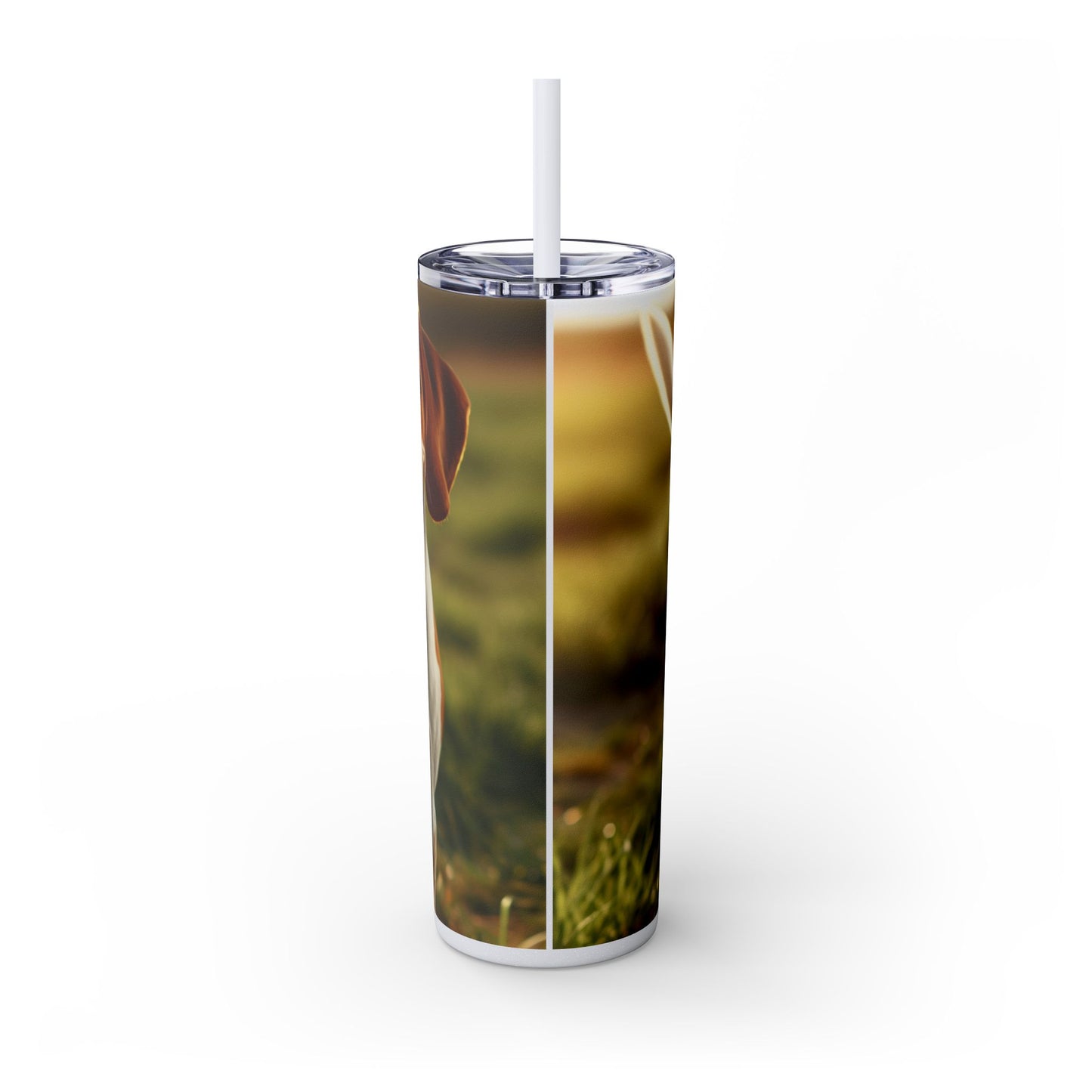 Bracco Italiano Tumbler with Straw, 20oz