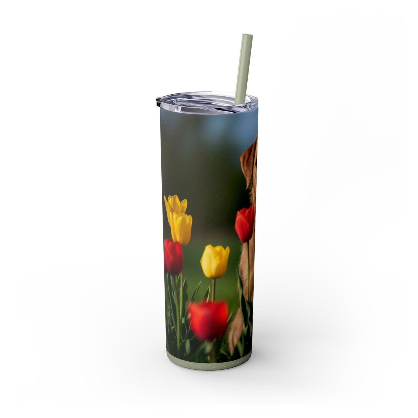 Pumi Skinny Tumbler with Straw, 20oz