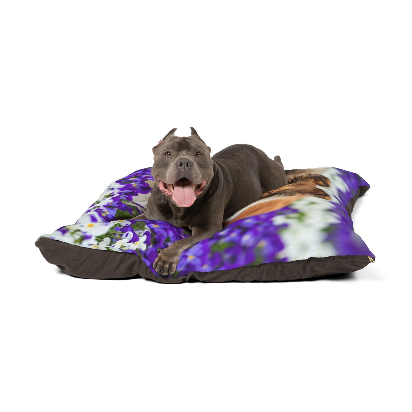 Collie Pet Bed