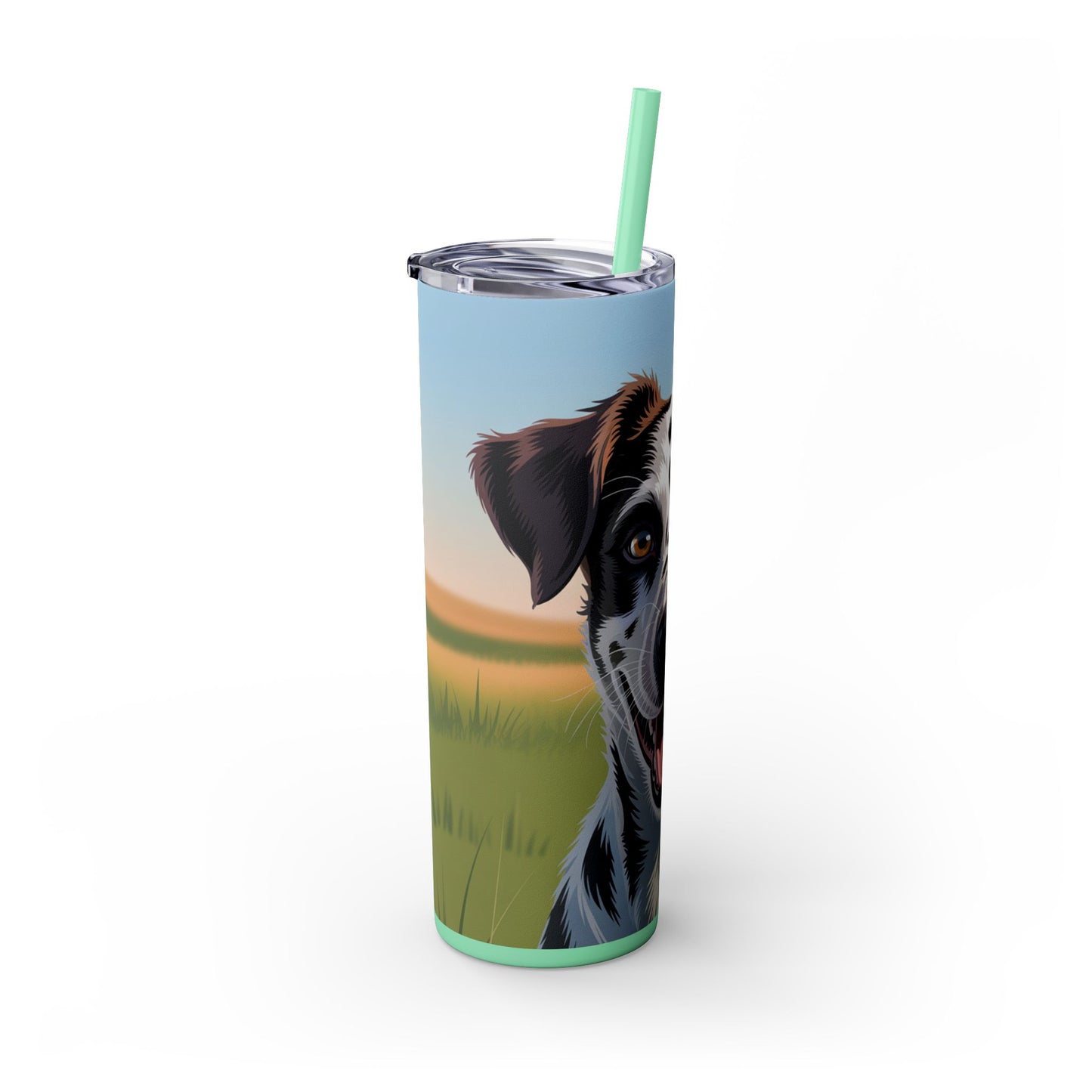 Telomian Skinny Tumbler with Straw, 20oz