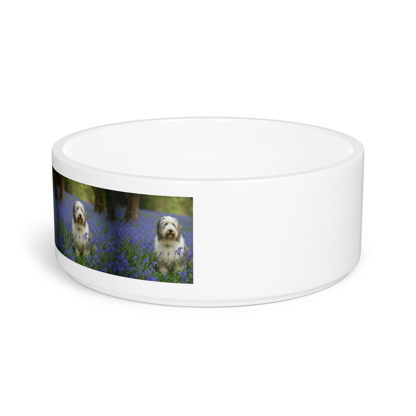 Bearded Collie Pet Bowl