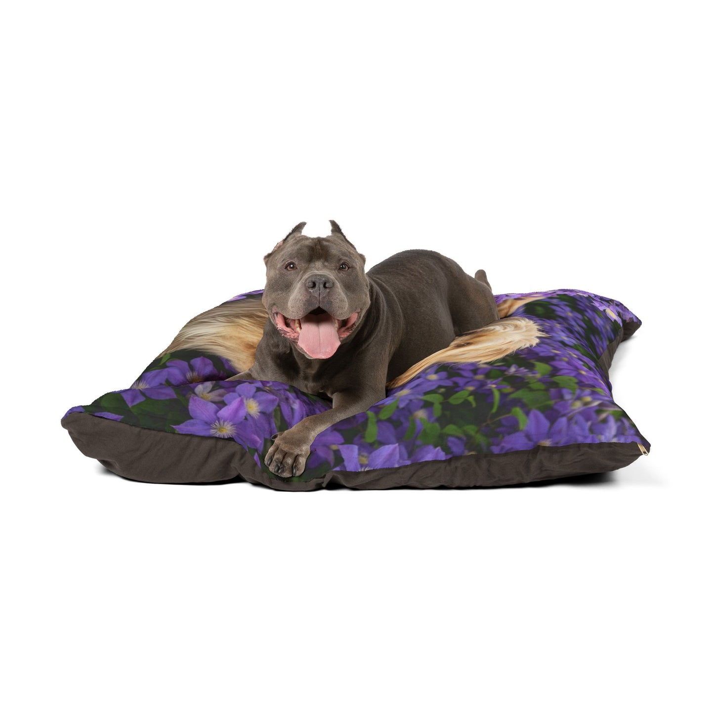 Berger Picard Pet Bed