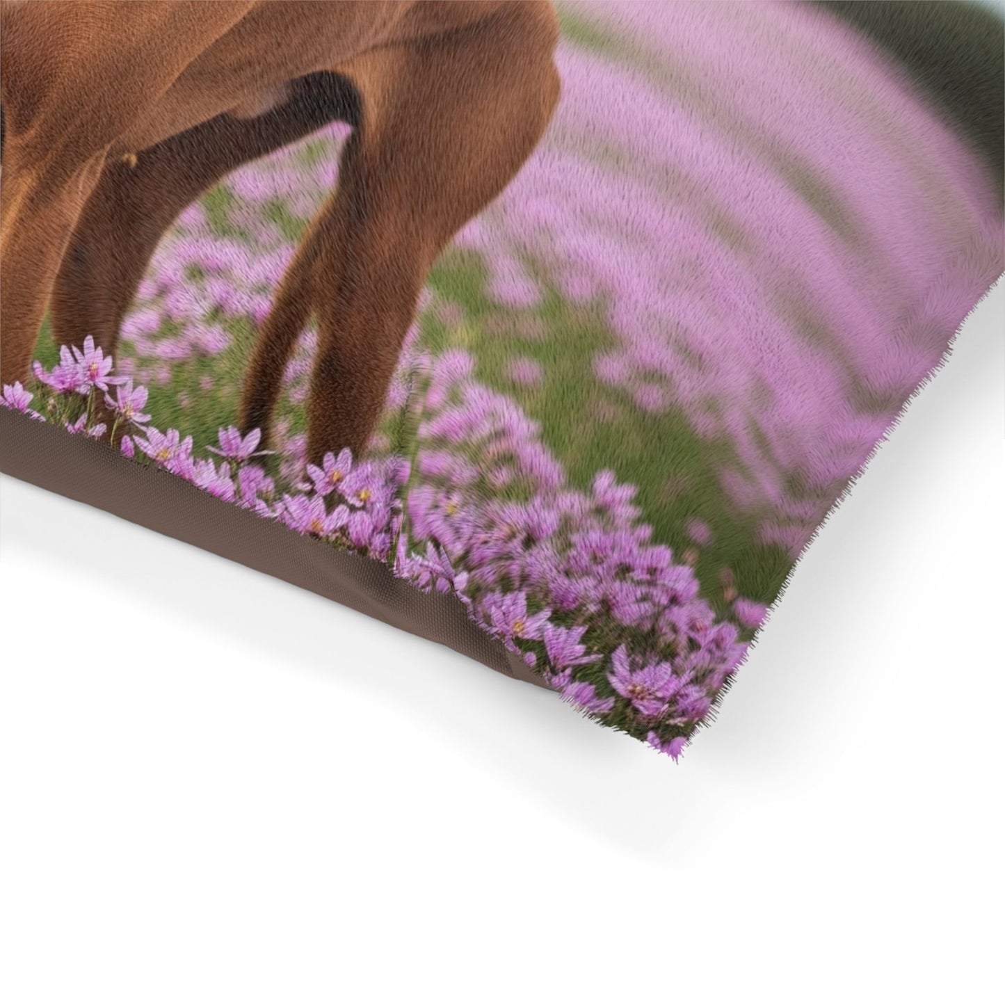 Pharaoh Hound Pet Bed