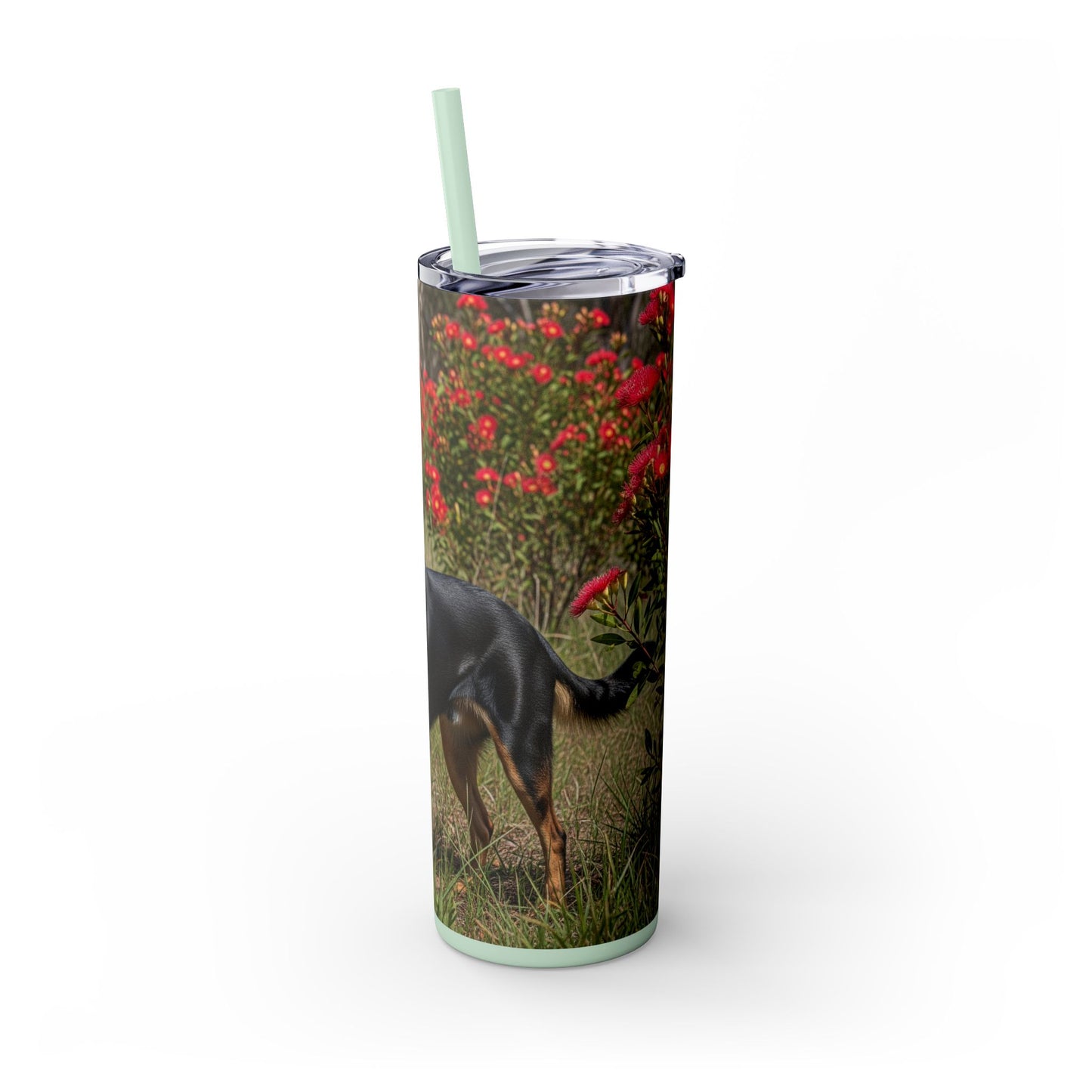 Australian Kelpie Tumbler with Straw, 20oz