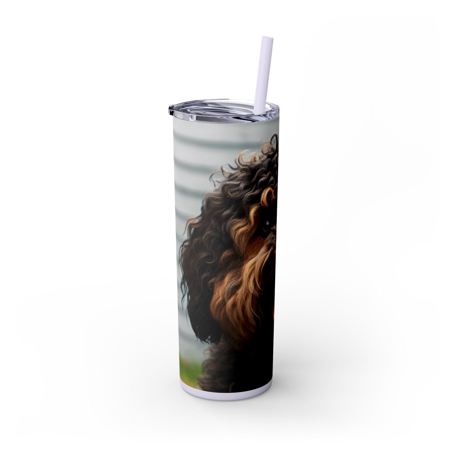 Barbet Tumbler with Straw, 20oz