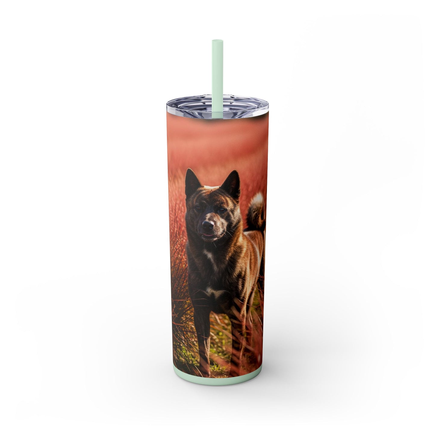 Kai Ken Tumbler with Straw, 20oz