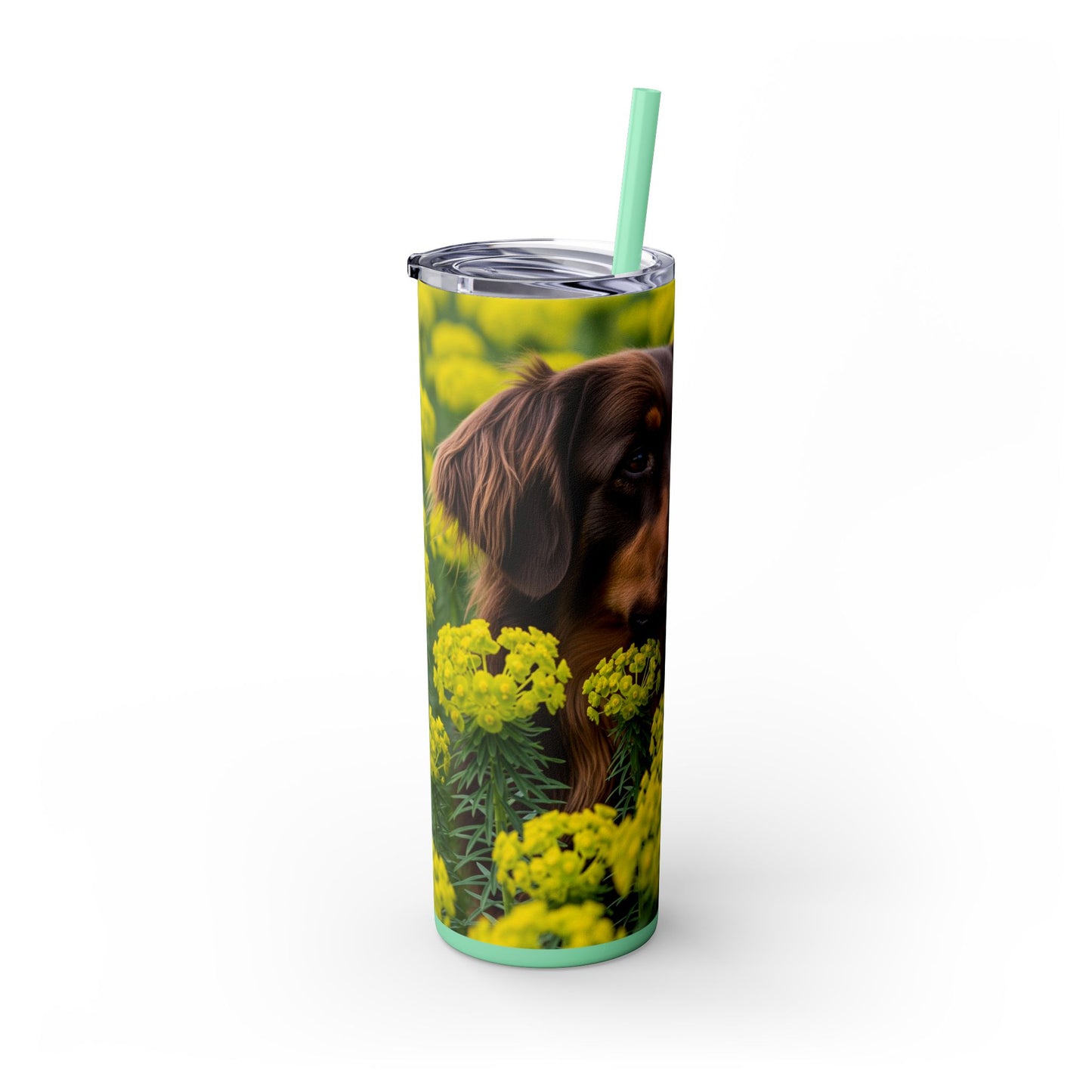 Hovawart Tumbler with Straw, 20oz