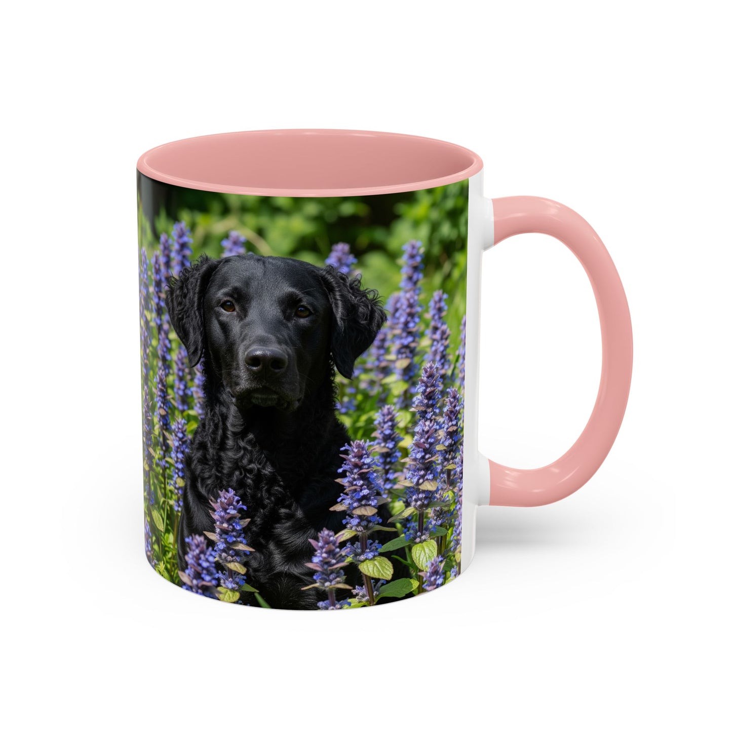 Curly Coated Retriever Accent Coffee Mug - Perfect Gift for Dog Lovers