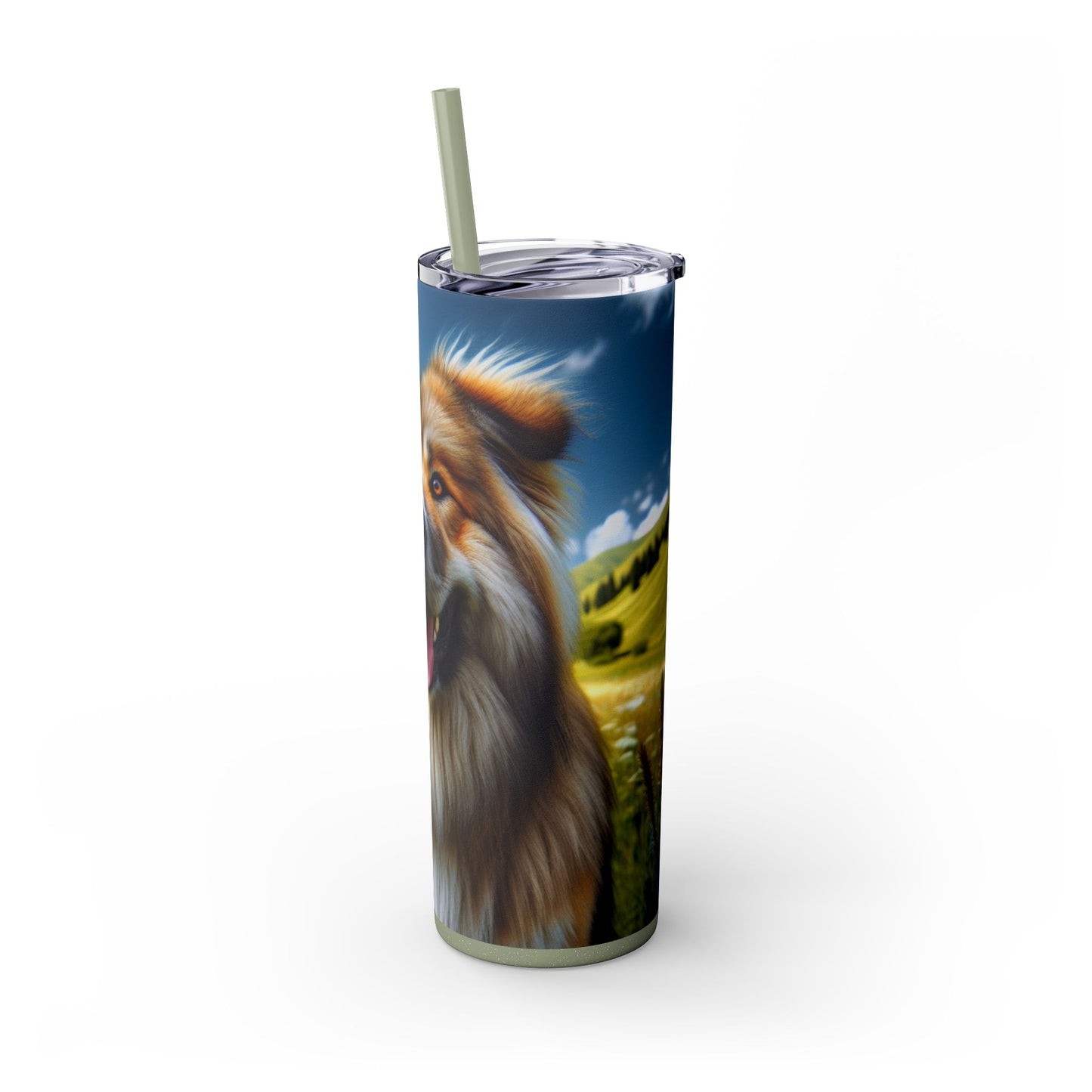 Bakharwal Tumbler with Straw, 20oz