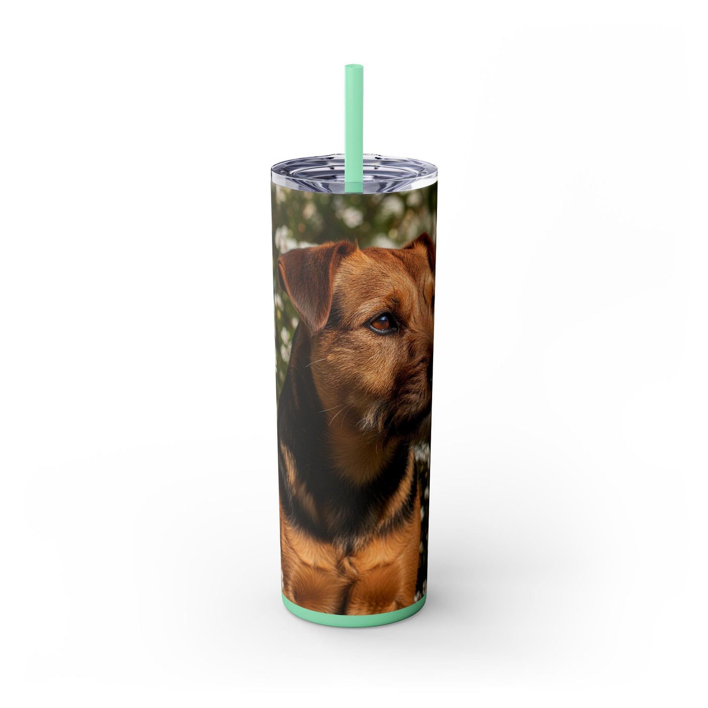 Tenterfield Terrier Skinny Tumbler with Straw, 20oz