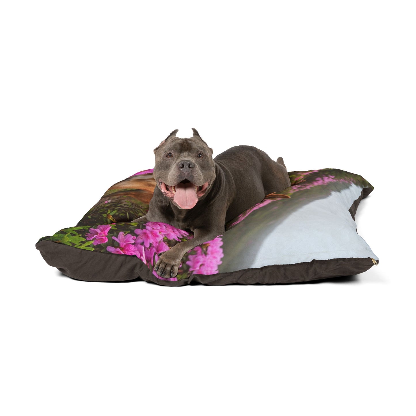 Taiwan Dog Pet Bed