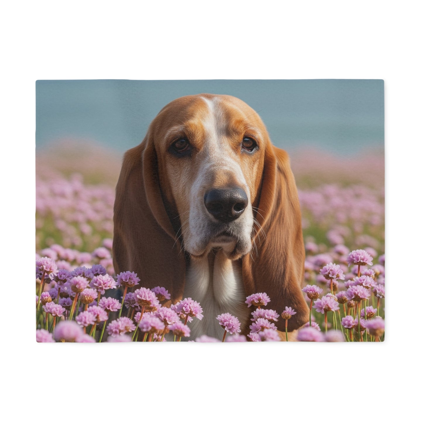 Basset Fauve de Bretagne Sweatshirt Blanket
