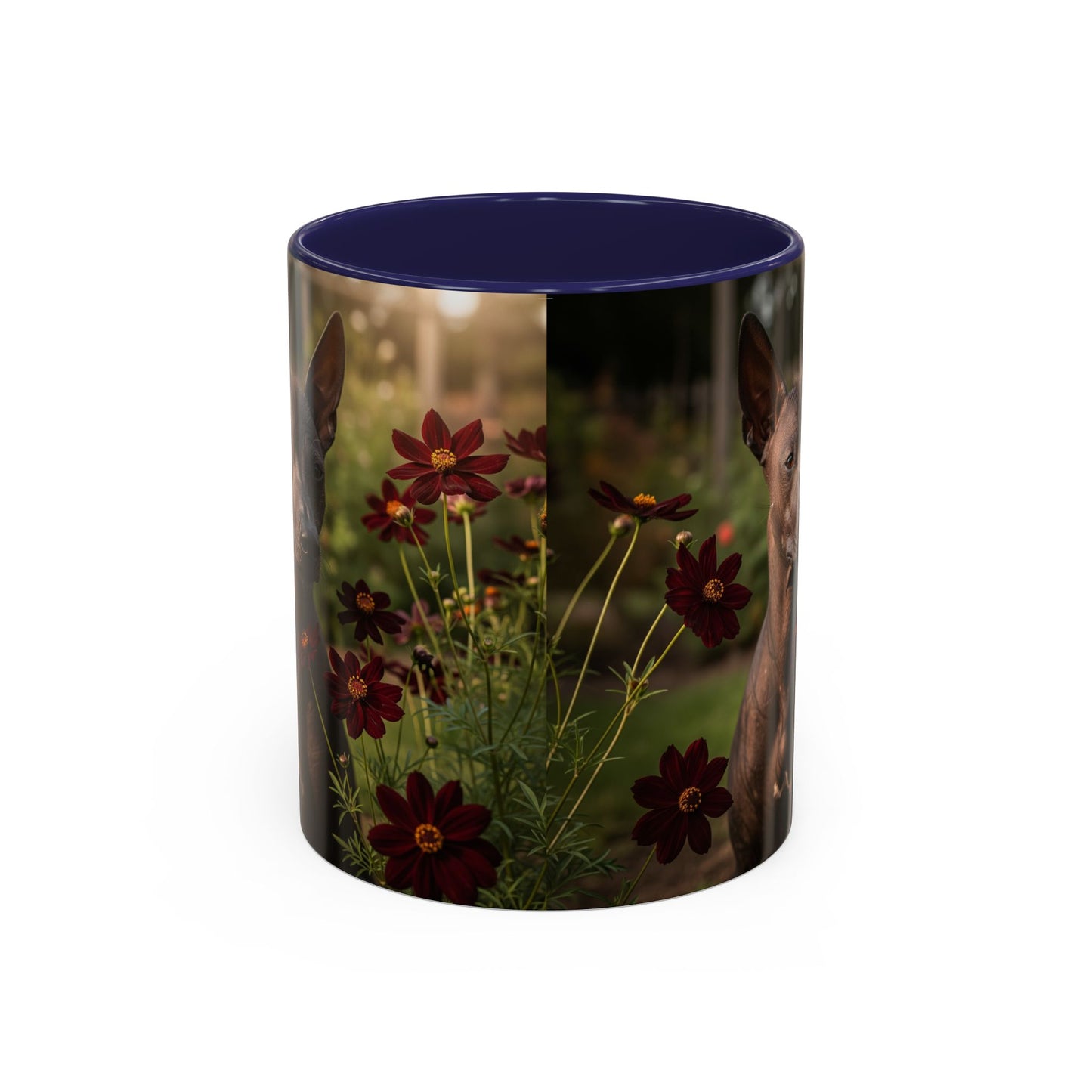 Xoloitzcuintli Accent Coffee Mug - Perfect Gift for Dog Lovers