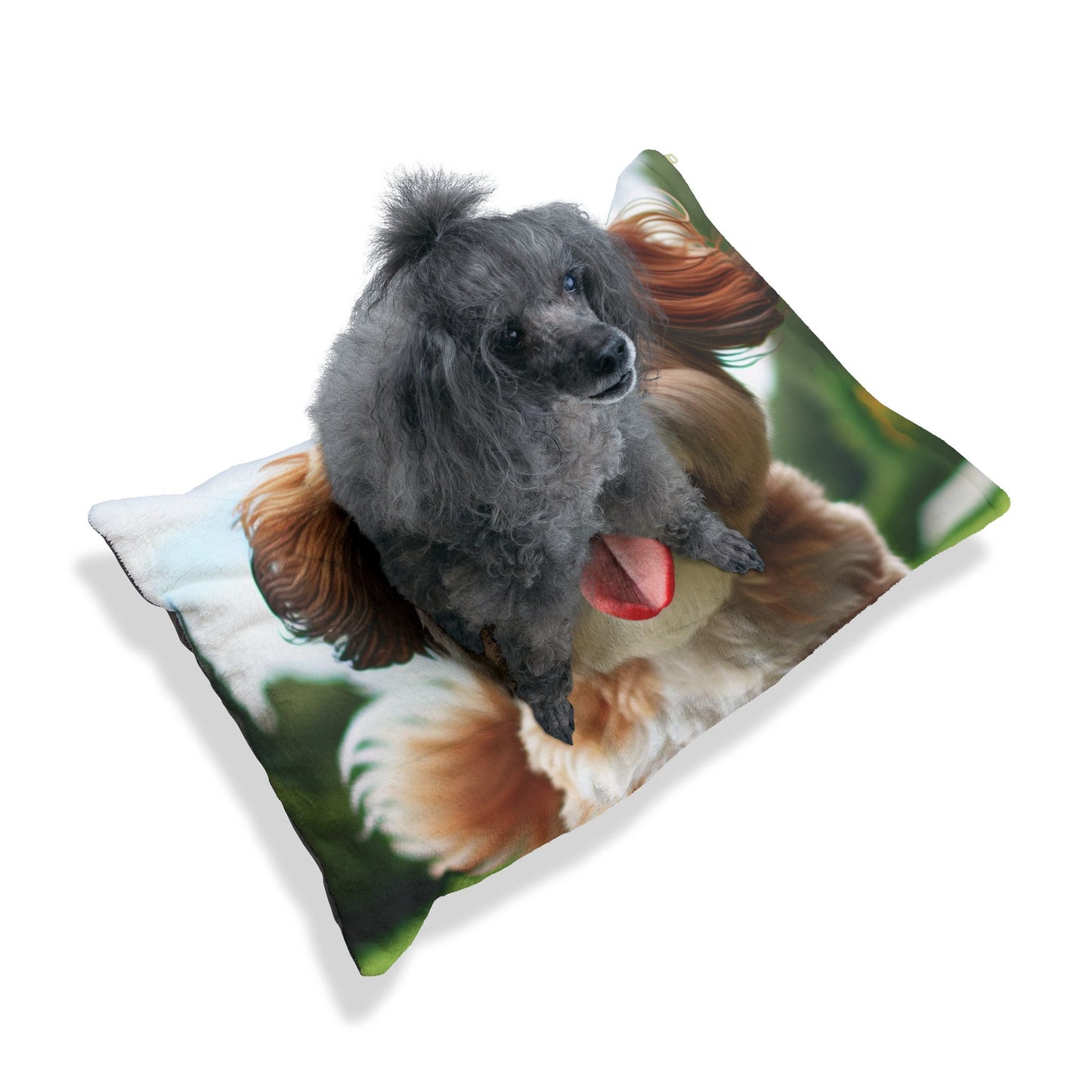 Lhasalier Pet Bed