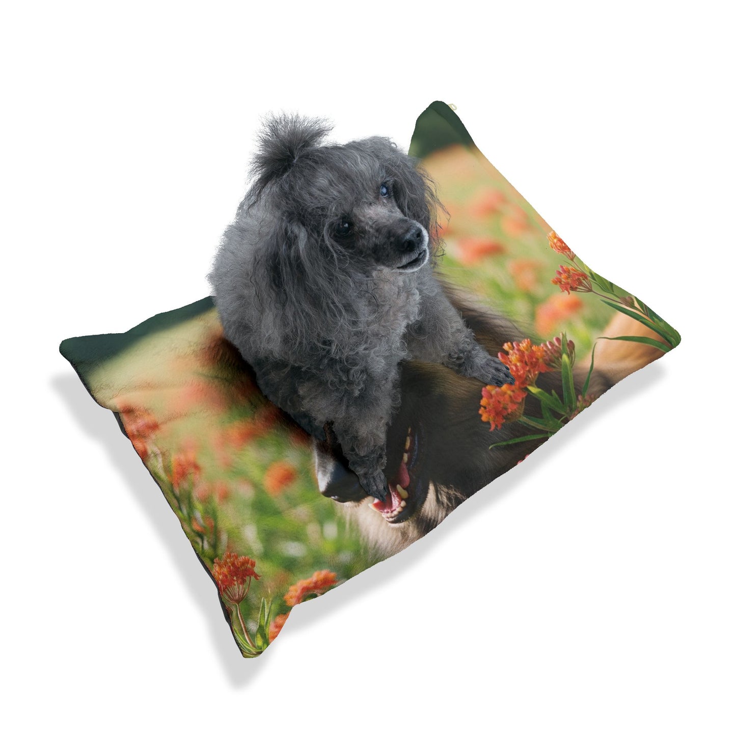 Belgian Tervuren Pet Bed