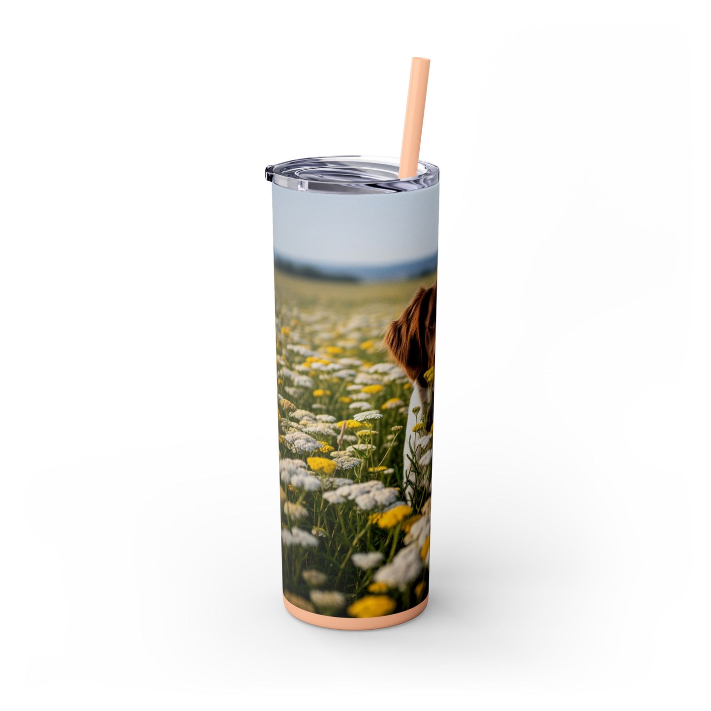 Drentsche Patrijshond Skinny Tumbler with Straw, 20oz