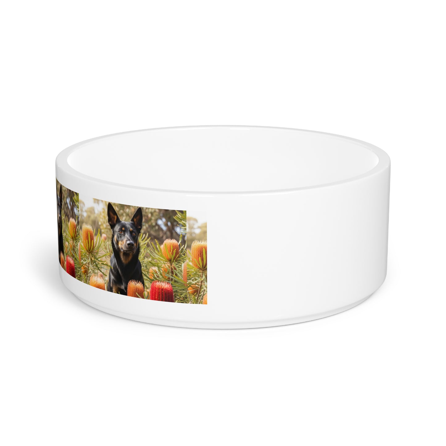 Working Kelpie Pet Bowl