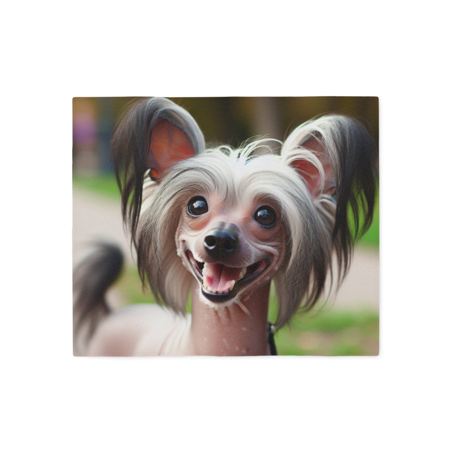 Chinese Crested Dog Sweatshirt Blanket