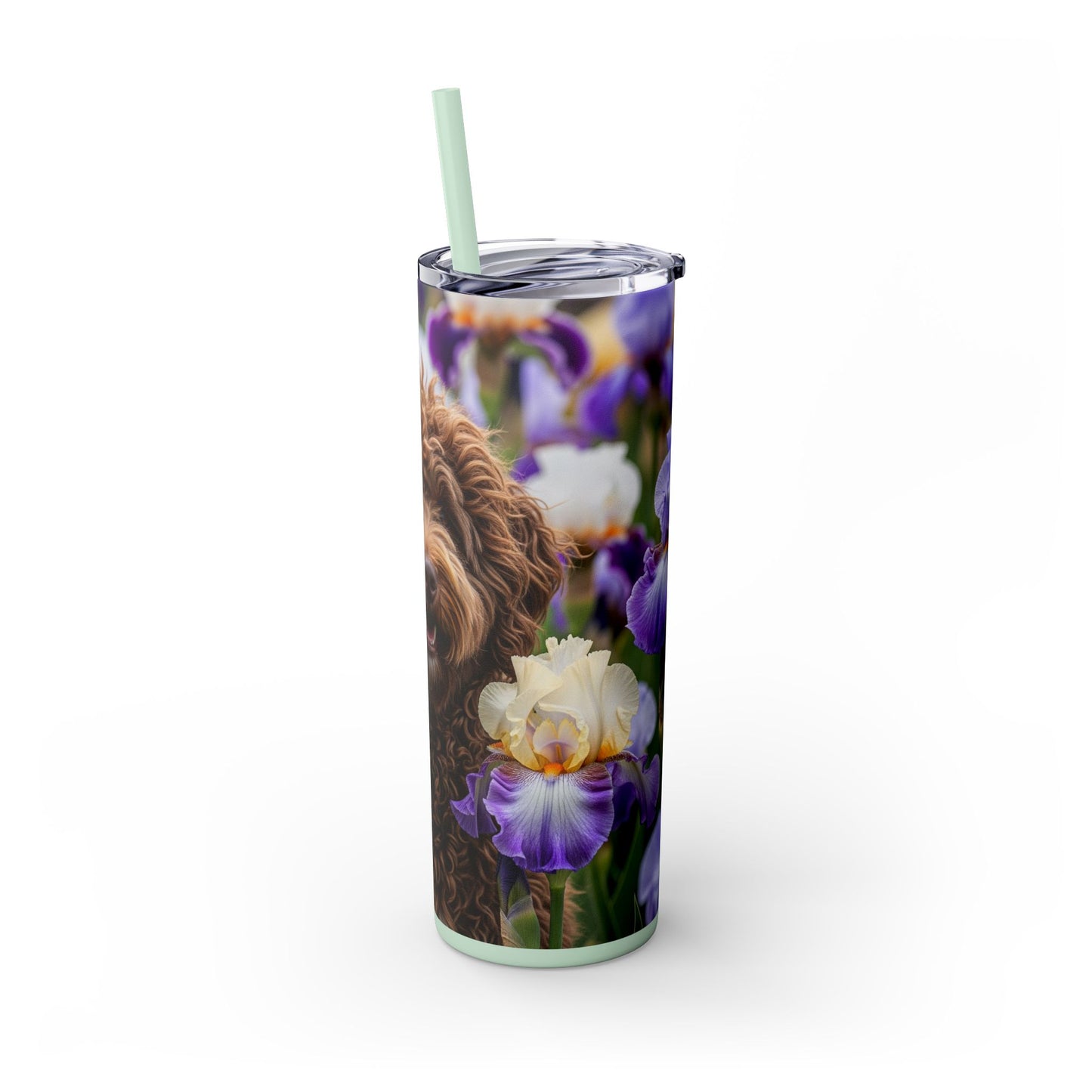 Barbet Skinny Tumbler with Straw, 20oz